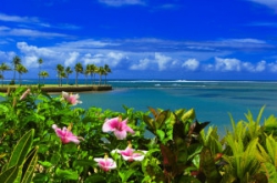���� ����� The Naviti Resort 5*