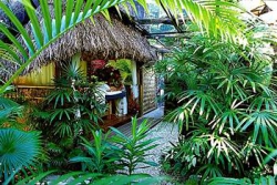 ���� ����� Castaway Island Resort 5*