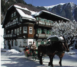 ���� ����� Hoteldorf Gruener Baum 4*