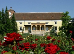 ���� ����� Schloss Weikersdorf  Baden Thermal Resort 4*