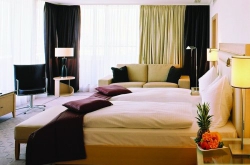���� ����� Hilton Am Stadtpark 5*