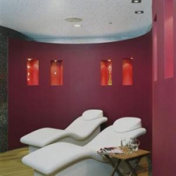 ���� ����� NH Vienna Airport 5*