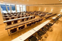 ���� ����� Fleming's 4*