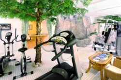 ���� ����� Mercure Imlauer Wien 4*