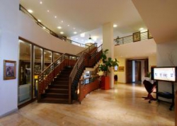 ���� ����� Grauer Baer 4*