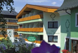 ���� ����� Gruener Baum 4*