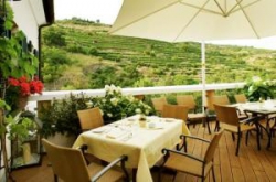 ���� ����� Steigenberger Avance 4*