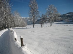 ���� ����� Alpenresidenz Adler 4*