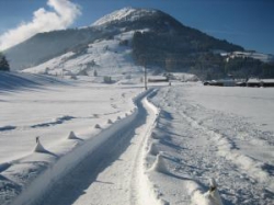 ���� ����� Alpenresidenz Adler 4*