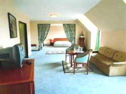 ���� ����� Austria and Bellevue 4*