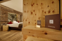 ���� ����� Bergland 4*