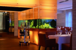 ���� ����� Madlein 4*