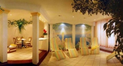���� ����� Neder 4*