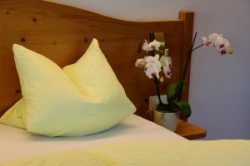 ���� ����� Zillertaler Hof 4*