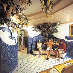 ���� ����� Pension Almrausch 3*