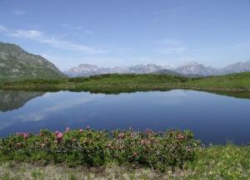 ���� ����� Bergkristall 4*