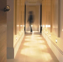���� ����� 51 Buckingham Gate 5*