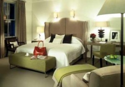 ���� ����� Brown's 5*