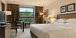 ���� ����� Hayatt Regensy Churchill 5*