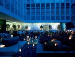 ���� ����� Morgans Sanderson 5*