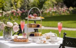 ���� ����� The Goring 5*
