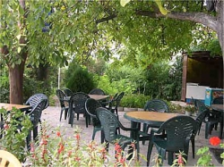 ���� ����� Holland Village 3*