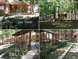 ���� ����� Villi Ropotamo 3*