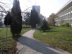 ���� ����� Gyrnalist ll 2*