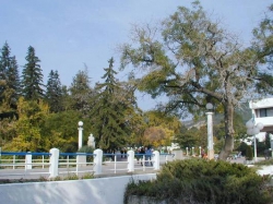 ���� ����� Sandanski 4*
