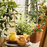 ���� ����� Alma Residence 2*