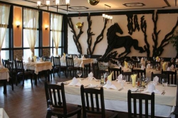 ���� ����� Grand Houtel Velingrad 3*