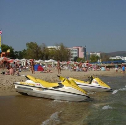 ���� ����� Delfin 2*