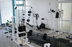 ���� ����� Delfin 2*