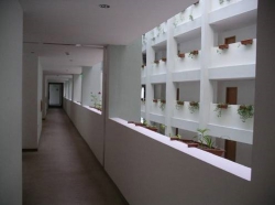���� ����� Mena Palace 3*