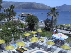 ���� ����� Flamingo Grand 5*
