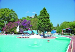 ���� ����� Lebed 4*
