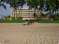 ���� ����� Novotel Coralia 4*