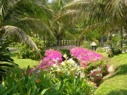 ���� ����� Seahorse Resort 4*
