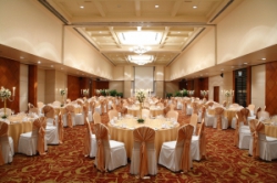 ���� ����� Sofitel Plaza Saigon 5*