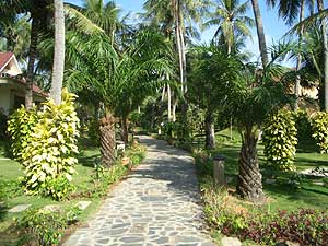 ���� ����� The Beach Resort 3*