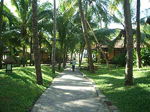 ���� ����� Seahorse Resort 4*