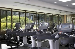 ���� ����� Sheraton Centre Hotel 5*