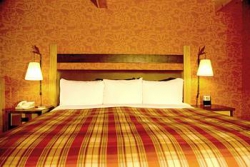 ���� ����� Fox Hotel and Suites 4*