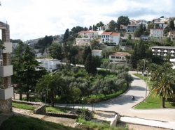 ���� ����� Mediteran Ulcinj 3*
