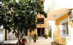 ���� ����� Apart Salus 4*