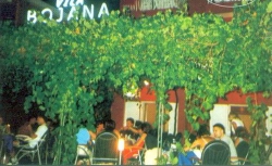 ���� ����� Vila Bojana 4*