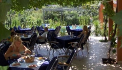 ���� ����� Vila Bojana 4*