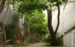 ���� ����� Vila Levantin 4*