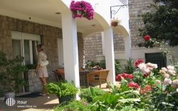 ���� ����� Villa Boskovic 4*