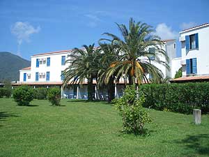 ���� ����� Alexander 3*